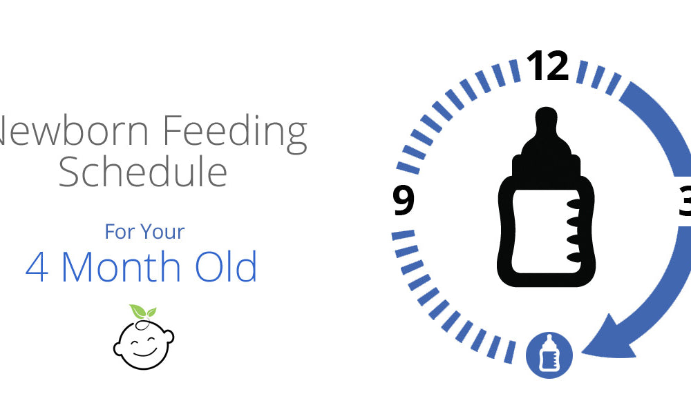 Newborn and Baby Feeding Schedule for 6-9 Months Old