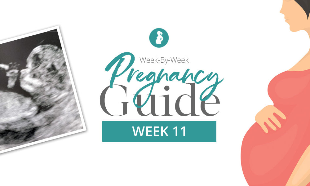 Pregnancy Week 11: Your Weekly Pregnancy Guide | Baby Earth