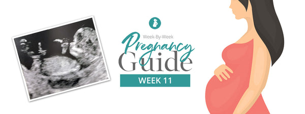 Pregnancy Week 11: Your Weekly Pregnancy Guide | Baby Earth