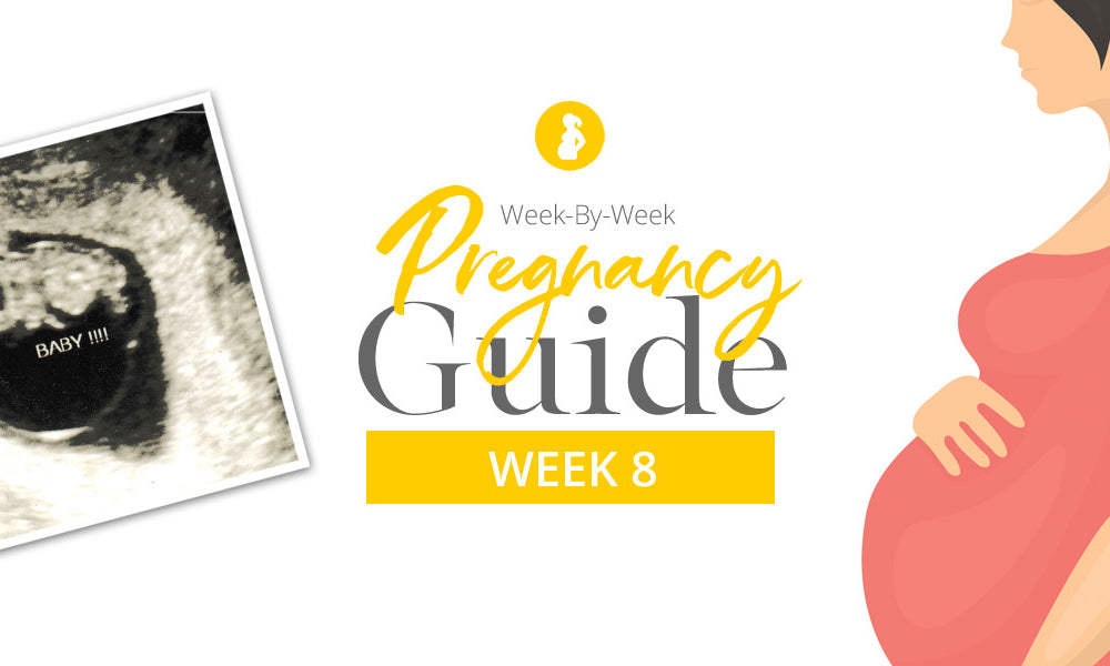 8 Weeks Pregnant: Your Weekly Pregnancy Guide