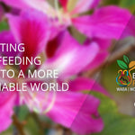 World Breastfeeding Week 2018: Ideas & Resources