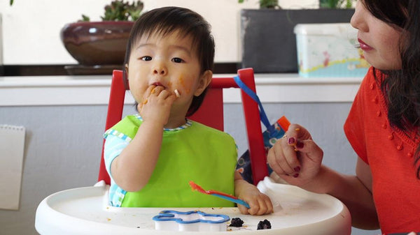 7 Easy and Delicious Homemade Stage 3 Baby Food Recipes | Baby Earth