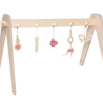 1st Play Baby Gym Combination Pack