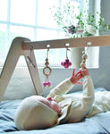 Photo 4 Rose