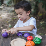 5 Colors Veggie Set - 3431