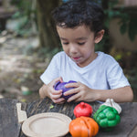 5 Colors Veggie Set - 3431