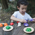 5 Colors Veggie Set - 3431
