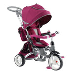 6-in-1 Multi-Trike