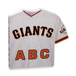 ABC My First Baseball Team Board Book