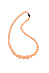 Photo 1 Apricot