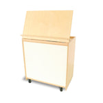 Big-Book Display With Write & Wipe