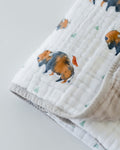 Photo 7 Bison