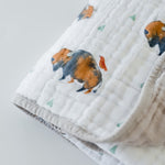 Bison