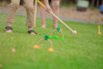 Photo 9 Croquet Game - 5189