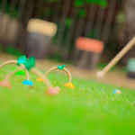 Croquet Game - 5189