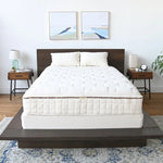 Photo 3 DELUXE 7" Bed Mattress Foundation