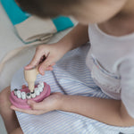 Dentist Set - 3493