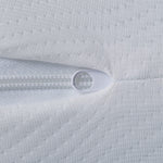 Eclipse Wellness 2-Stage Hybrid Pure
