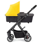 Yellow Sulphur