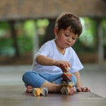 Geo Stacking Rock - 5511