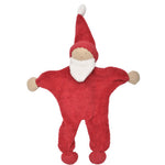 Photo 2 Holiday Santa Beanie + Buddy Toy Set