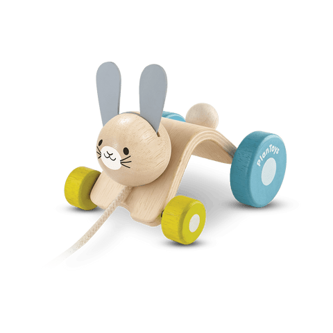 Hopping Rabbit Toy - 5701