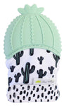 Photo 2 Cactus