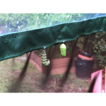 Photo 6 One Inch Series 4 ft. x 4 ft. Pro Butterfly Nursery