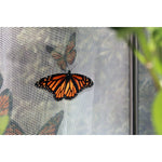 Photo 15 One Inch Series 4 ft. x 8 ft. Backyard Butterfly Pollinator