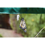 One Inch Series 4 ft. x 8 ft. Pro Butterfly Pollinator