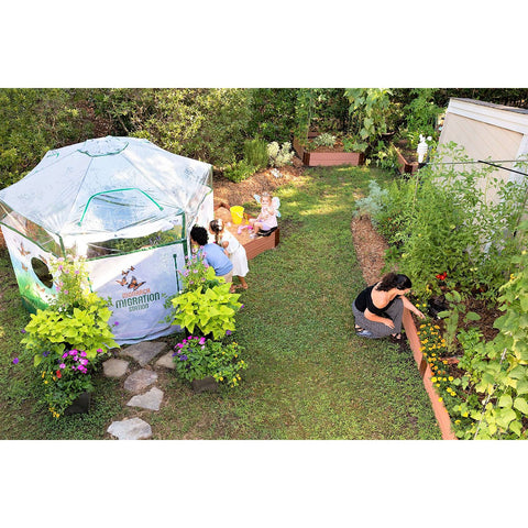 One Inch Series 8 ft x 7 ft. Backyard Butterfly Learning Center