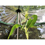Photo 5 One Inch Series 8 ft. x 7 ft. Pro Butterfly Learning Center