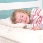 Photo 4 Organic PLA Fill Bed Pillow
