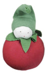Photo 6 Tomato
