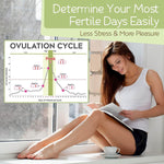 Photo 4 Ovulation and Pregnancy Test Strips