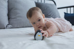 Photo 3 Penguin - 5200