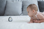 Photo 2 Penguin - 5200