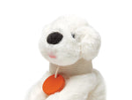 Photo 2 Pet Care Set - 3491