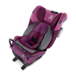 Purple Plum