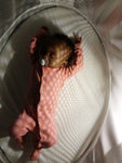 Photo 5 Smart Luce Wooden Bassinet with Light and Fabric