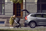 Photo 11 Spring Standard Stroller