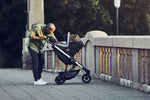 Photo 13 Spring Standard Stroller