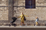Photo 10 Spring Standard Stroller