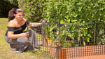 Photo 2 Stack & Extend 'Animal Barrier' with Gate - 4' wide Straight Panels