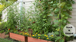 Photo 2 Stack & Extend 'Veggie Wall' - 4' wide Straight Panels