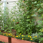 Stack & Extend 'Veggie Wall' - 4' wide Straight Panels