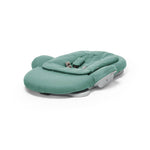 Steps Baby Bouncer