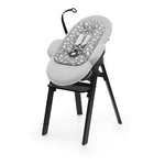 Steps Baby Bouncer