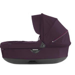 Photo 2 Purple