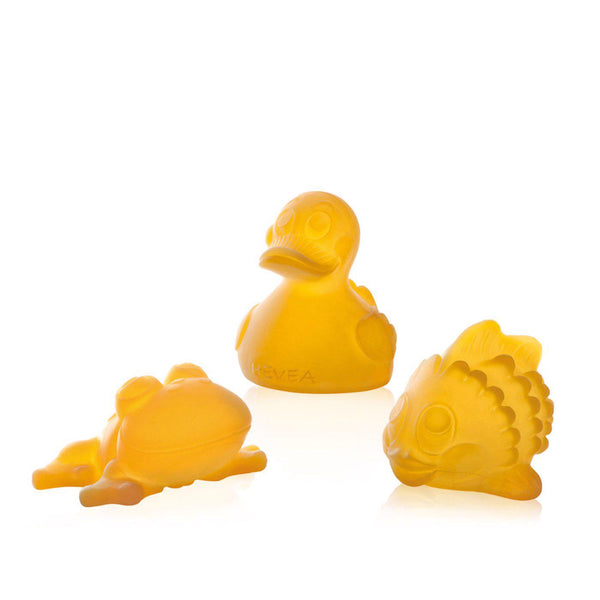 The Pond Gift Set